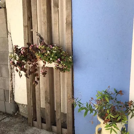 Auf Der Blue Ranch *